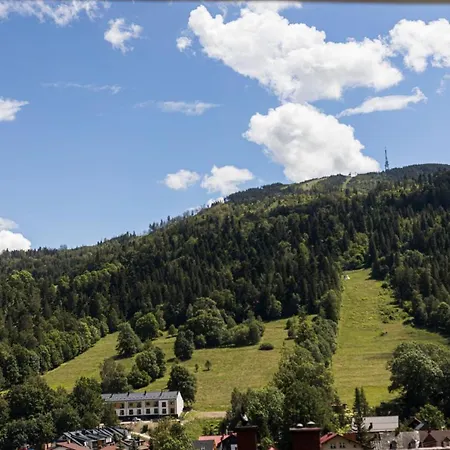 Mountain View 1